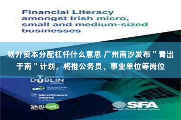 场外资本分配杠杆什么意思 广州南沙发布＂青出于南＂计划，将推公务员、事业单位等岗位
