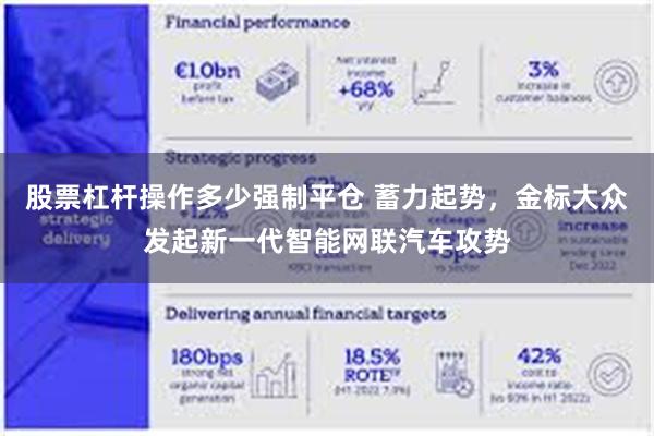 股票杠杆操作多少强制平仓 蓄力起势，金标大众发起新一代智能网联汽车攻势