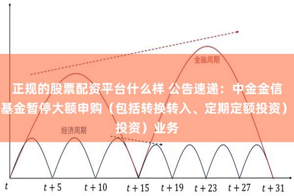 正规的股票配资平台什么样 公告速递：中金金信债券基金暂停大额申购（包括转换转入、定期定额投资）业务