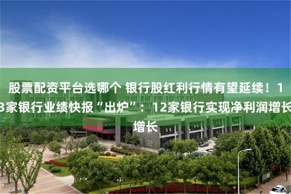 股票配资平台选哪个 银行股红利行情有望延续！13家银行业绩快报“出炉”：12家银行实现净利润增长