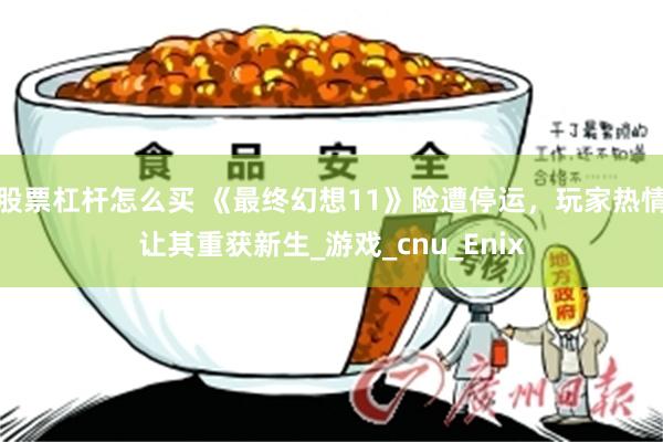 股票杠杆怎么买 《最终幻想11》险遭停运，玩家热情让其重获新生_游戏_cnu_Enix
