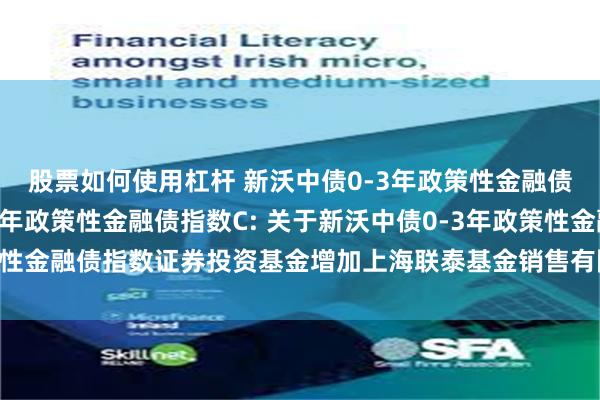 股票如何使用杠杆 新沃中债0-3年政策性金融债指数A,新沃中债0-3年政策性金融债指数C: 关于新沃中债0-3年政策性金融债指数证券投资基金增加上海联泰基金销售有限公司为销售机构的公告