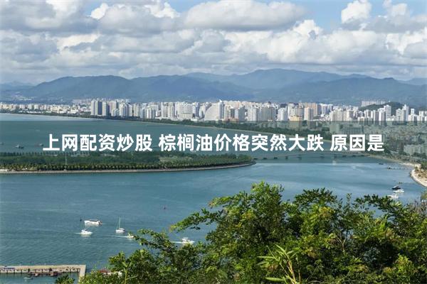 上网配资炒股 棕榈油价格突然大跌 原因是