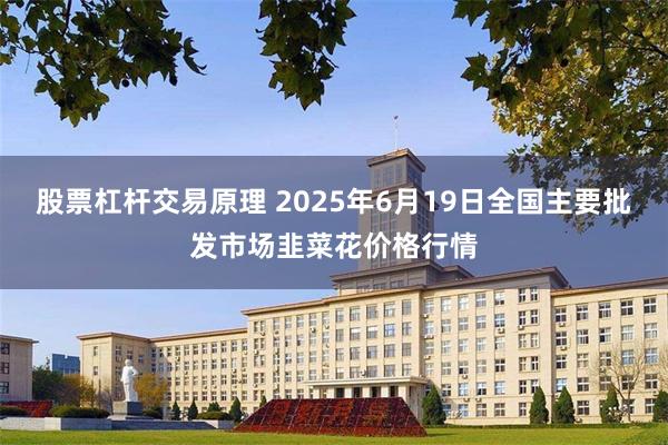 股票杠杆交易原理 2025年6月19日全国主要批发市场韭菜花价格行情