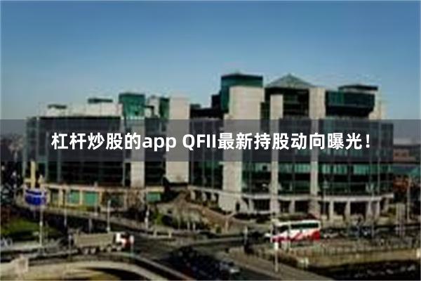 杠杆炒股的app QFII最新持股动向曝光！