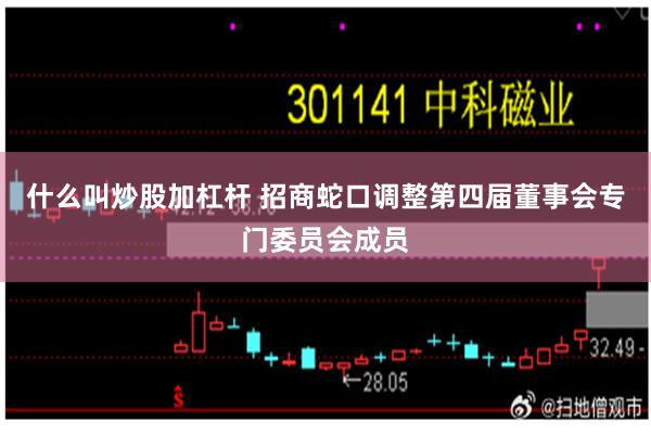 什么叫炒股加杠杆 招商蛇口调整第四届董事会专门委员会成员