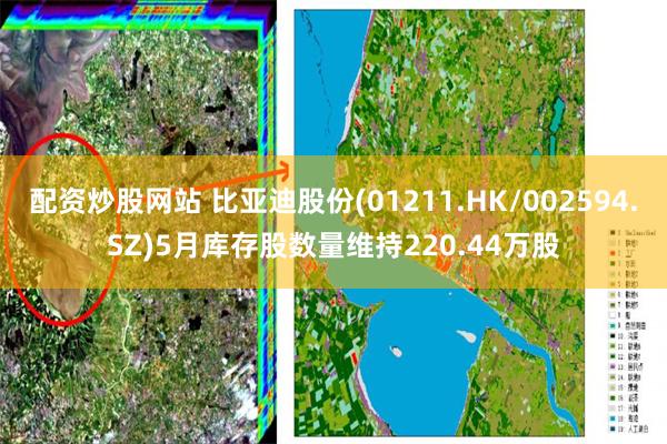 配资炒股网站 比亚迪股份(01211.HK/002594.SZ)5月库存股数量维持220.44万股