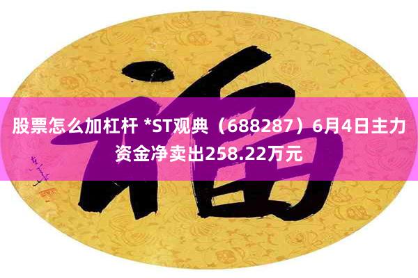 股票怎么加杠杆 *ST观典（688287）6月4日主力资金净卖出258.22万元