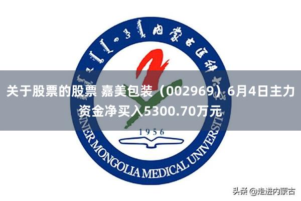 关于股票的股票 嘉美包装（002969）6月4日主力资金净买入5300.70万元