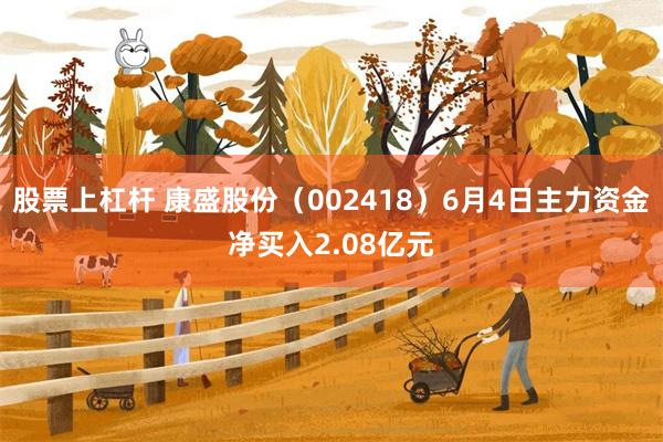 股票上杠杆 康盛股份（002418）6月4日主力资金净买入2.08亿元