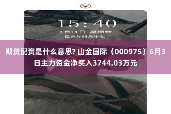 期货配资是什么意思? 山金国际（000975）6月3日主力资金净买入3744.03万元