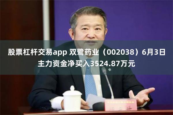 股票杠杆交易app 双鹭药业（002038）6月3日主力资金净买入3524.87万元