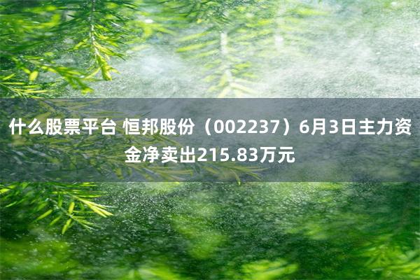 什么股票平台 恒邦股份（002237）6月3日主力资金净卖出215.83万元