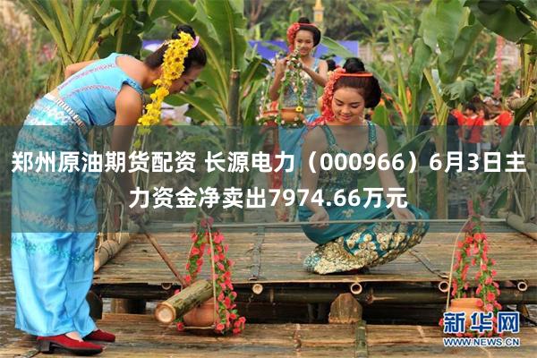 郑州原油期货配资 长源电力（000966）6月3日主力资金净卖出7974.66万元