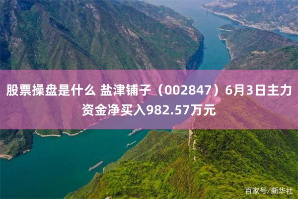 股票操盘是什么 盐津铺子（002847）6月3日主力资金净买入982.57万元