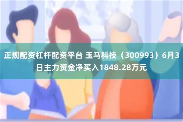 正规配资杠杆配资平台 玉马科技（300993）6月3日主力资金净买入1848.28万元