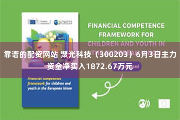靠谱的配资网站 聚光科技（300203）6月3日主力资金净买入1872.67万元