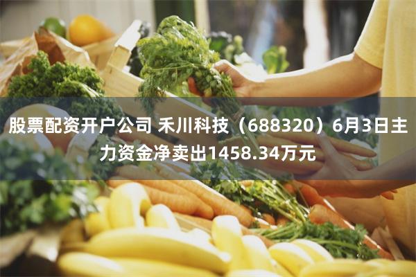 股票配资开户公司 禾川科技（688320）6月3日主力资金净卖出1458.34万元
