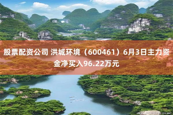 股票配资公司 洪城环境（600461）6月3日主力资金净买入96.22万元