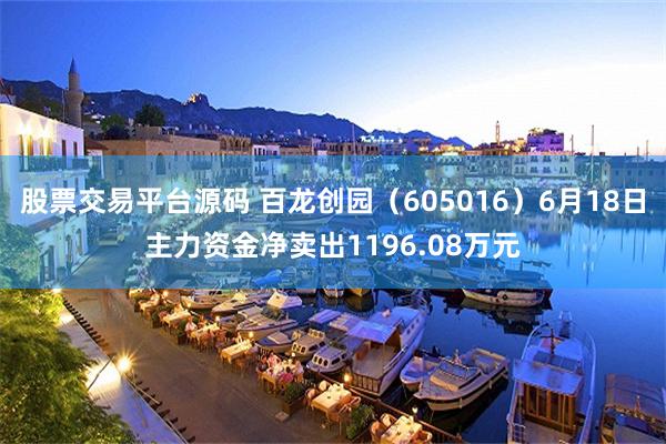 股票交易平台源码 百龙创园（605016）6月18日主力资金净卖出1196.08万元
