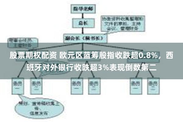 股票期权配资 欧元区蓝筹股指收跌超0.8%，西班牙对外银行收跌超3%表现倒数第二