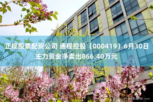 正规股票配资公司 通程控股（000419）6月30日主力资金净卖出866.40万元