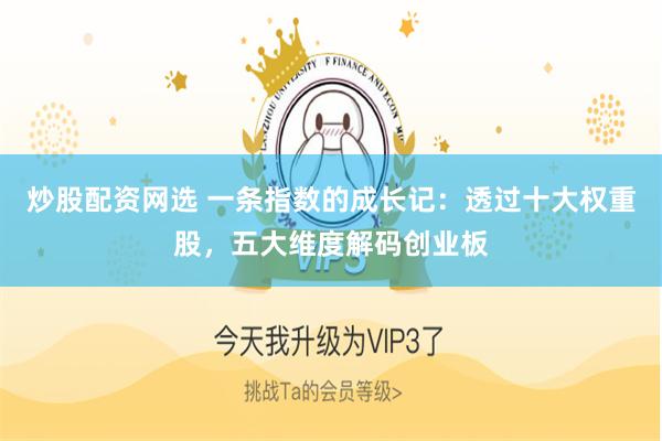 炒股配资网选 一条指数的成长记：透过十大权重股，五大维度解码创业板