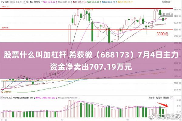 股票什么叫加杠杆 希荻微（688173）7月4日主力资金净卖出707.19万元
