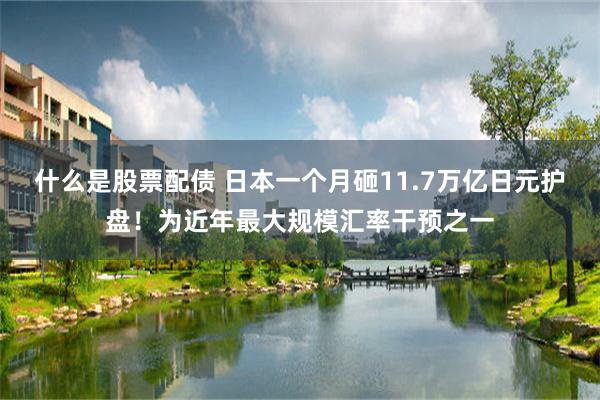 什么是股票配债 日本一个月砸11.7万亿日元护盘！为近年最大规模汇率干预之一