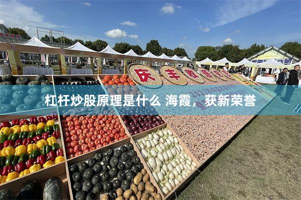 杠杆炒股原理是什么 海霞，获新荣誉