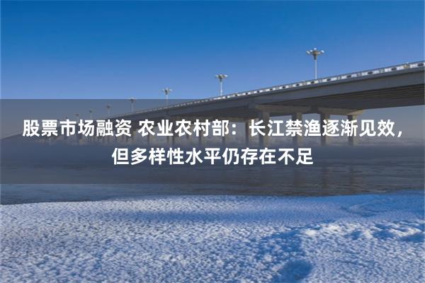 股票市场融资 农业农村部：长江禁渔逐渐见效，但多样性水平仍存在不足