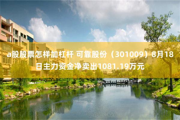 a股股票怎样加杠杆 可靠股份（301009）8月18日主力资金净卖出1081.19万元