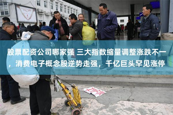 股票配资公司哪家强 三大指数缩量调整涨跌不一，消费电子概念股逆势走强，千亿巨头罕见涨停