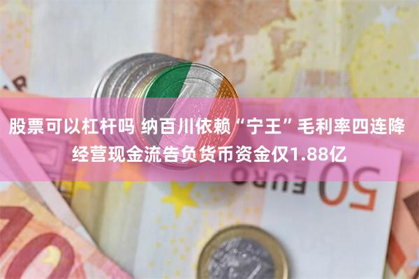股票可以杠杆吗 纳百川依赖“宁王”毛利率四连降 经营现金流告负货币资金仅1.88亿