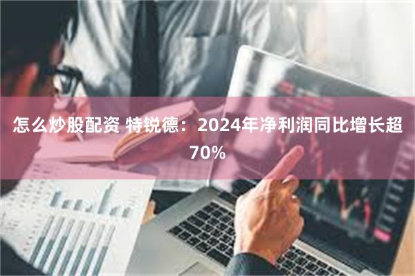 怎么炒股配资 特锐德:2024年净利润同比增长超70%
