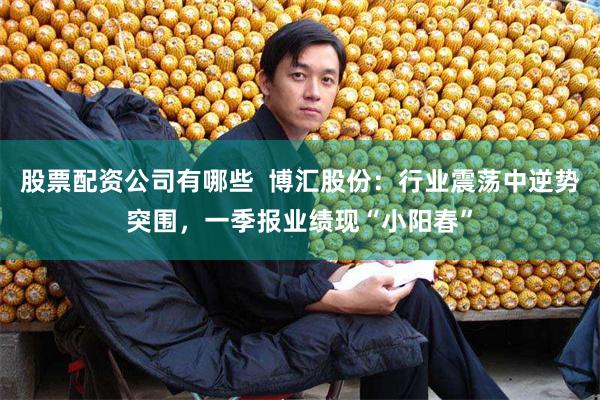 股票配资公司有哪些  博汇股份：行业震荡中逆势突围，一季报业绩现“小阳春”