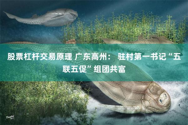 股票杠杆交易原理 广东高州： 驻村第一书记“五联五促”组团共富