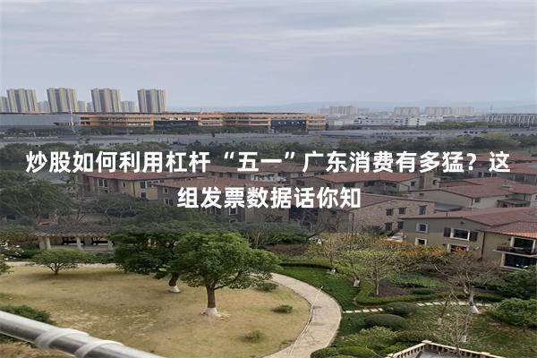 炒股如何利用杠杆 “五一”广东消费有多猛？这组发票数据话你知