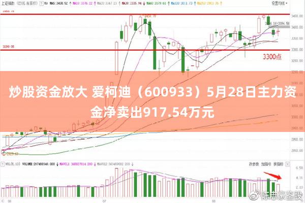 炒股资金放大 爱柯迪（600933）5月28日主力资金净卖出917.54万元