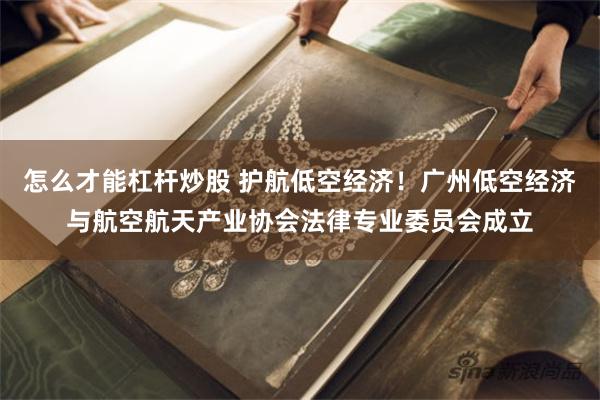 怎么才能杠杆炒股 护航低空经济!广州低空经济与航空航天产业协会法律专业委员会成立