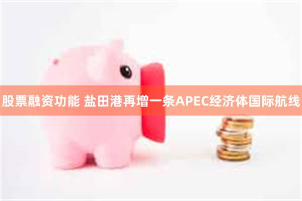 股票融资功能 盐田港再增一条APEC经济体国际航线