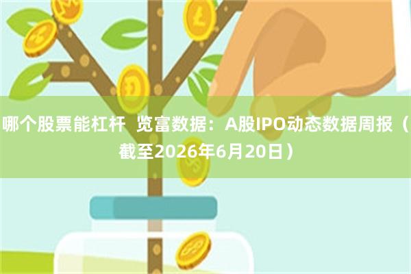 哪个股票能杠杆  览富数据：A股IPO动态数据周报（截至2026年6月20日）