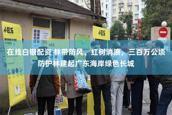 在线白银配资 林带防风、红树消浪，三百万公顷防护林建起广东海岸绿色长城