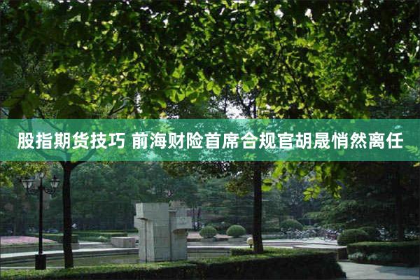 股指期货技巧 前海财险首席合规官胡晟悄然离任