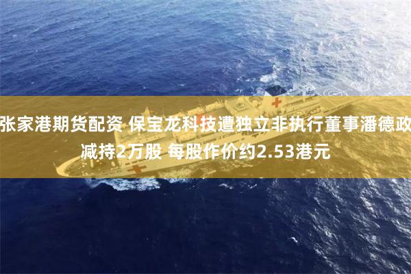 张家港期货配资 保宝龙科技遭独立非执行董事潘德政减持2万股 每股作价约2.53港元