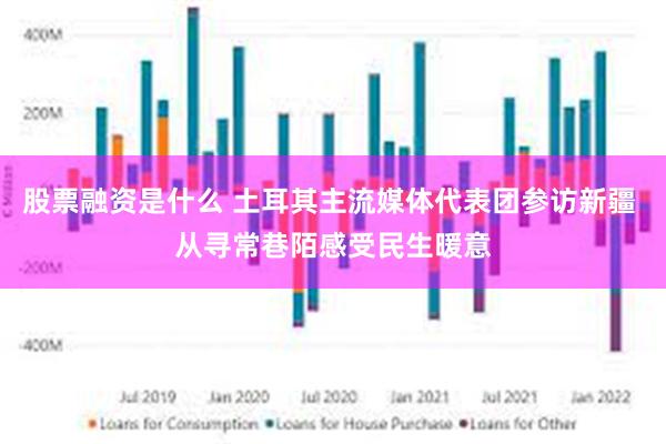 股票融资是什么 土耳其主流媒体代表团参访新疆 从寻常巷陌感受民生暖意