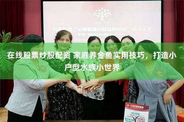 在线股票炒股配资 家庭养金鱼实用技巧，打造小户型水族小世界