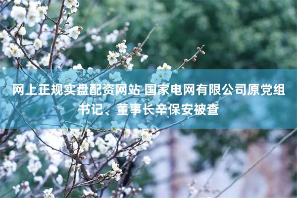 网上正规实盘配资网站 国家电网有限公司原党组书记、董事长辛保安被查