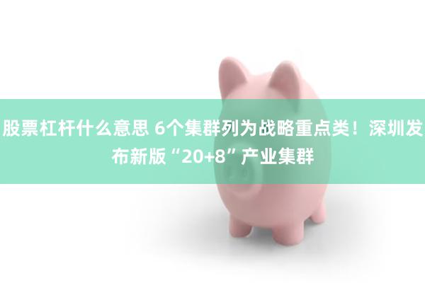 股票杠杆什么意思 6个集群列为战略重点类！深圳发布新版“20+8”产业集群