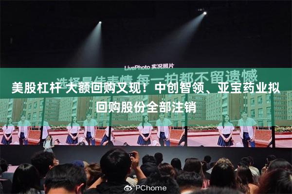 美股杠杆 大额回购又现！中创智领、亚宝药业拟回购股份全部注销